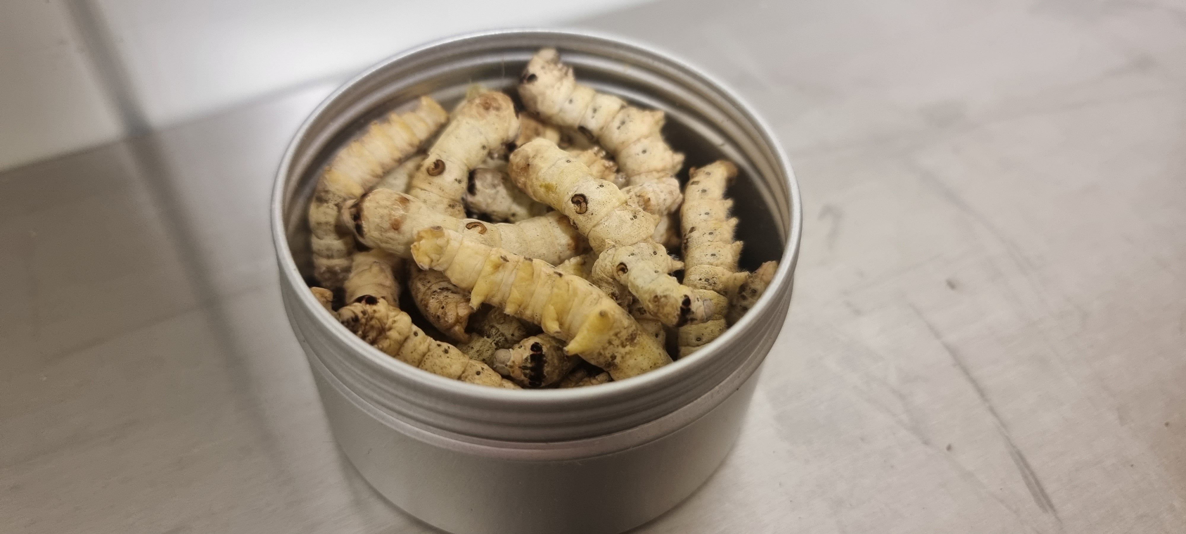 Freeze Dried Silkworms