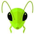 Load image into Gallery viewer, Mulberry trees for Silkworms
